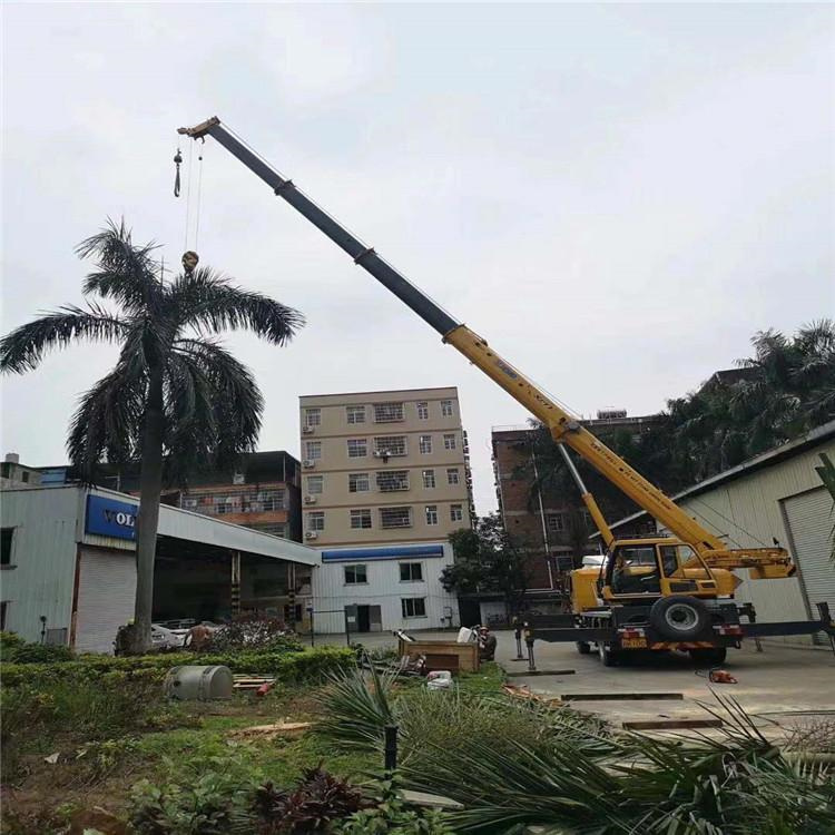 柳南吊车吊大树几种方法
